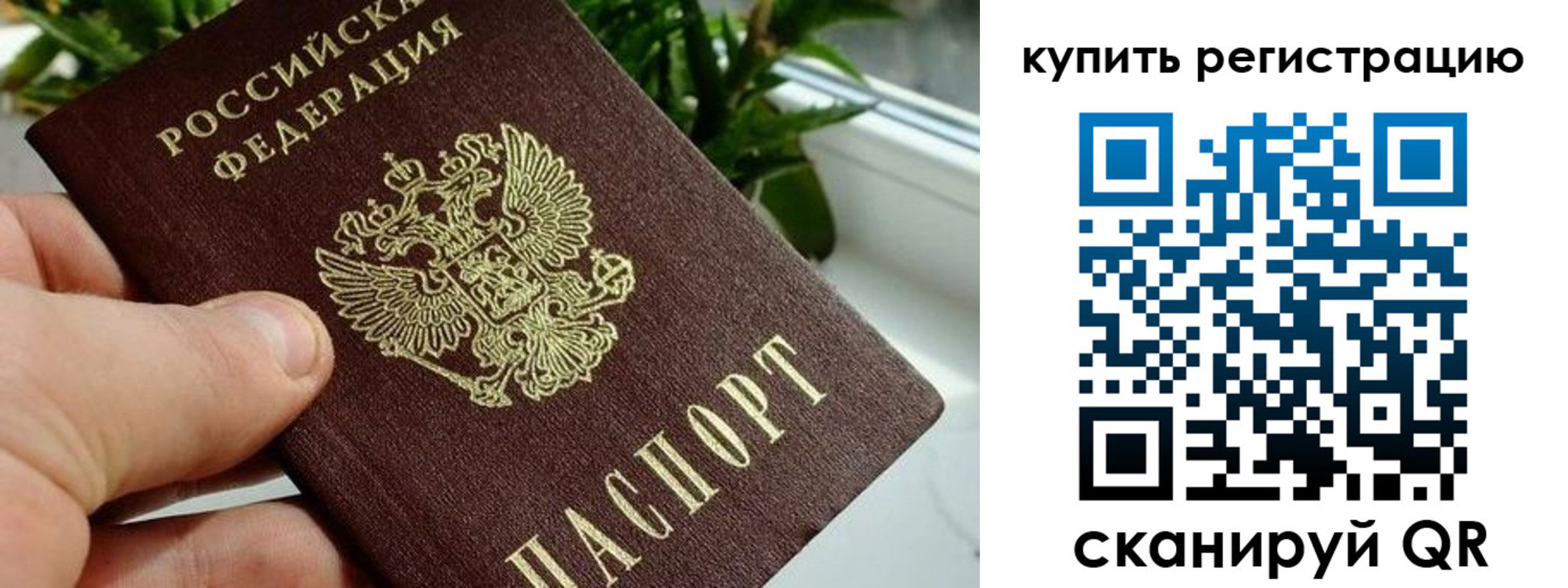 прописка гарантия в Дзержинском
